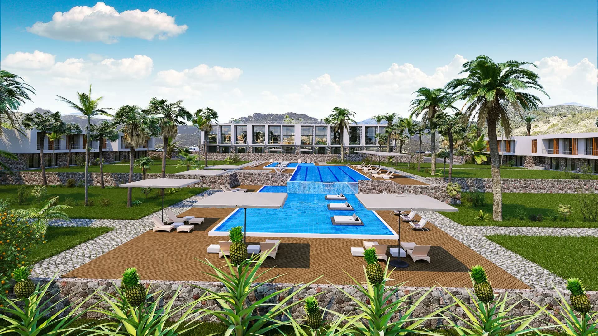 DEJA BLUE WELLNESS