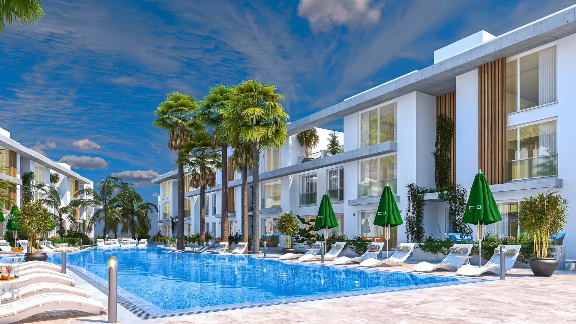 OLIVE COURT 2